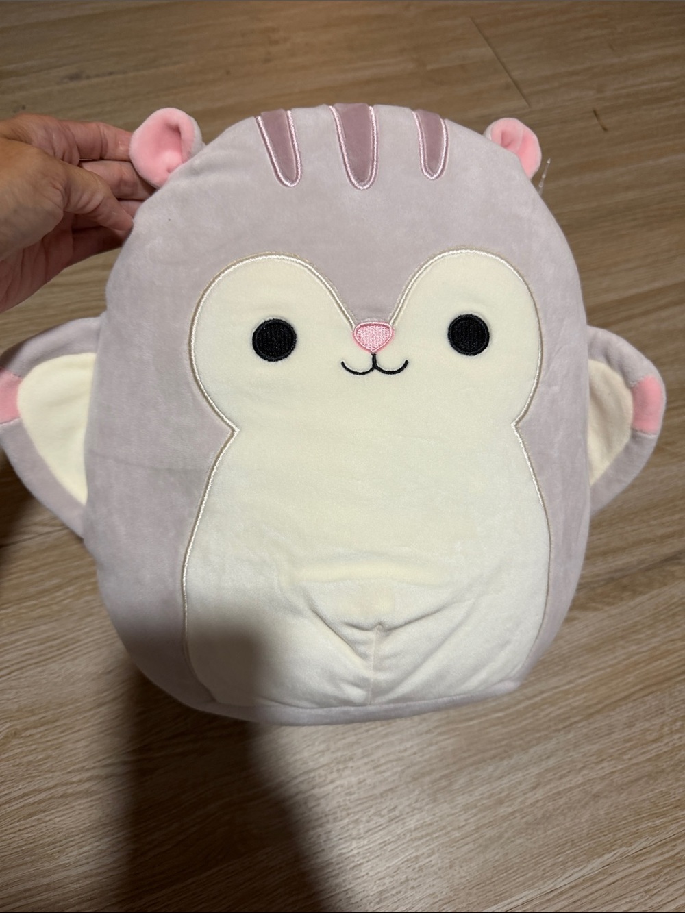 Squishmallow Steph The Flying Squirrel/Sugar Glyder 11in